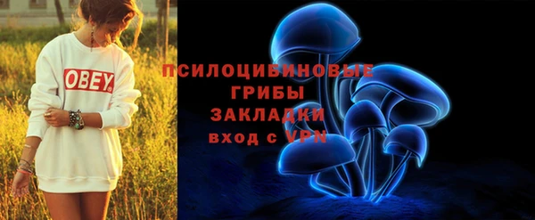 прущая мука Протвино