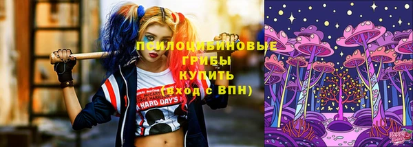 прущая мука Протвино